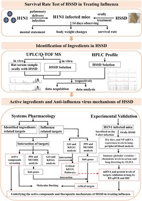 Exploring the active ingredients and pharmacological mechanisms of the oral intake formula Huoxiang Suling Shuanghua Decoction on influenza virus type A based on network pharmacology and experimental exploration